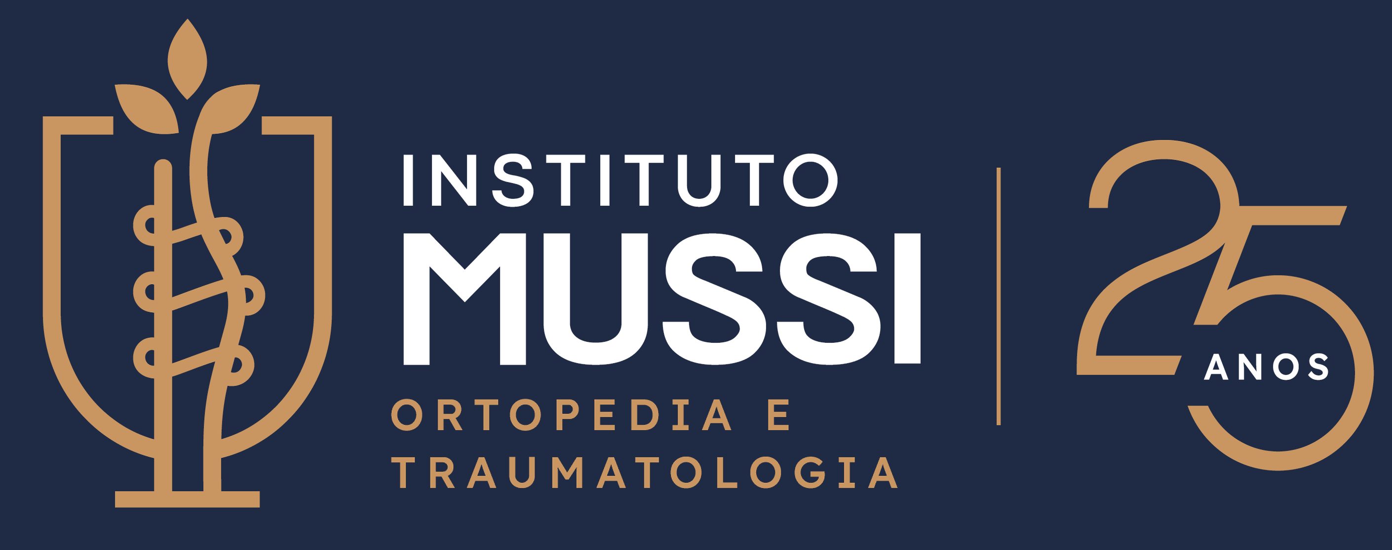Instituto Mussi